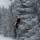 Zakopane - PARK LINOWY